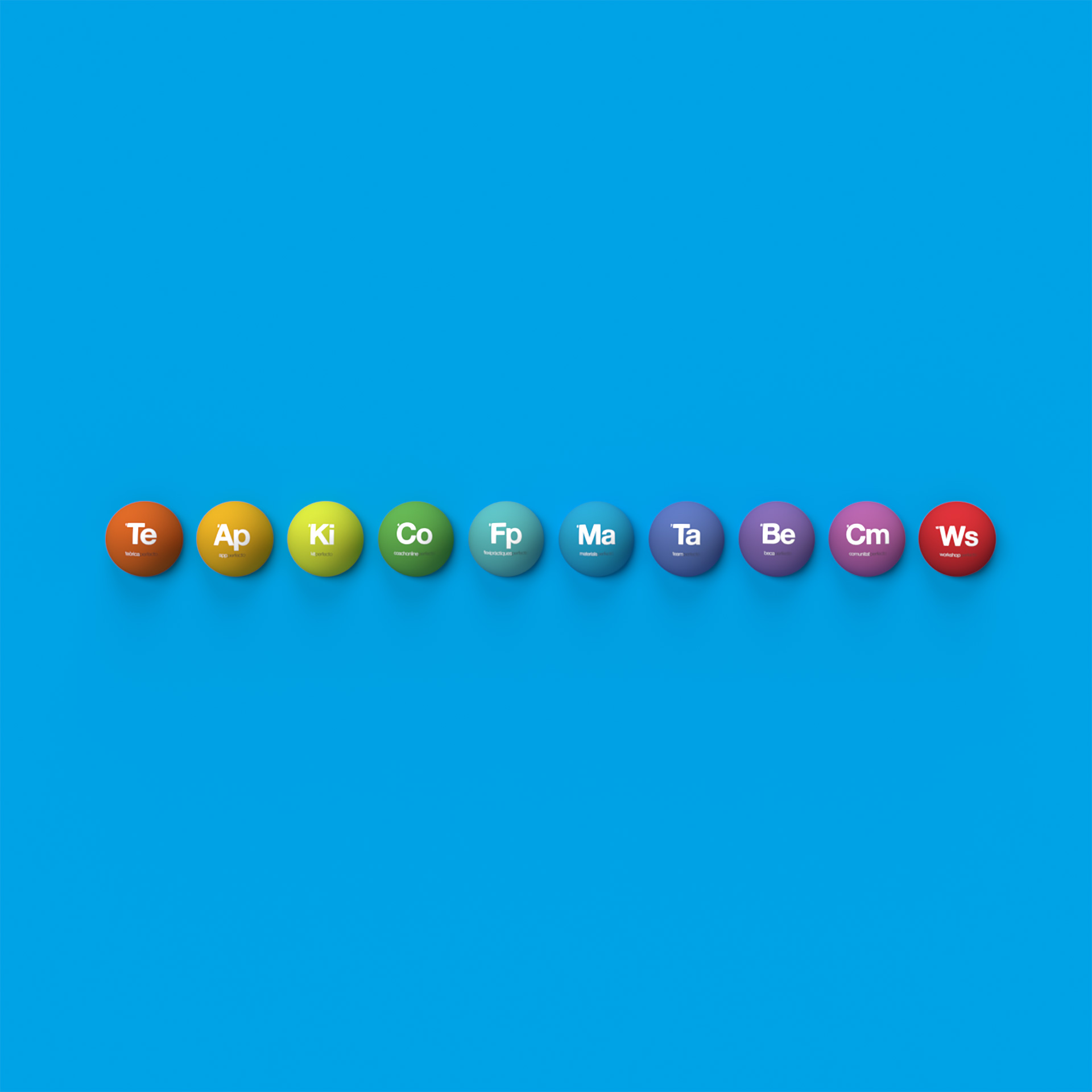logo-autoescoles-perfecto-dr-digital-agency-03