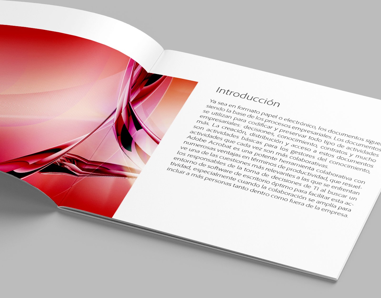 i-adobe-acrobat-dr-digital-agency-02 i-adobe-acrobat-dr-digital-agency-02