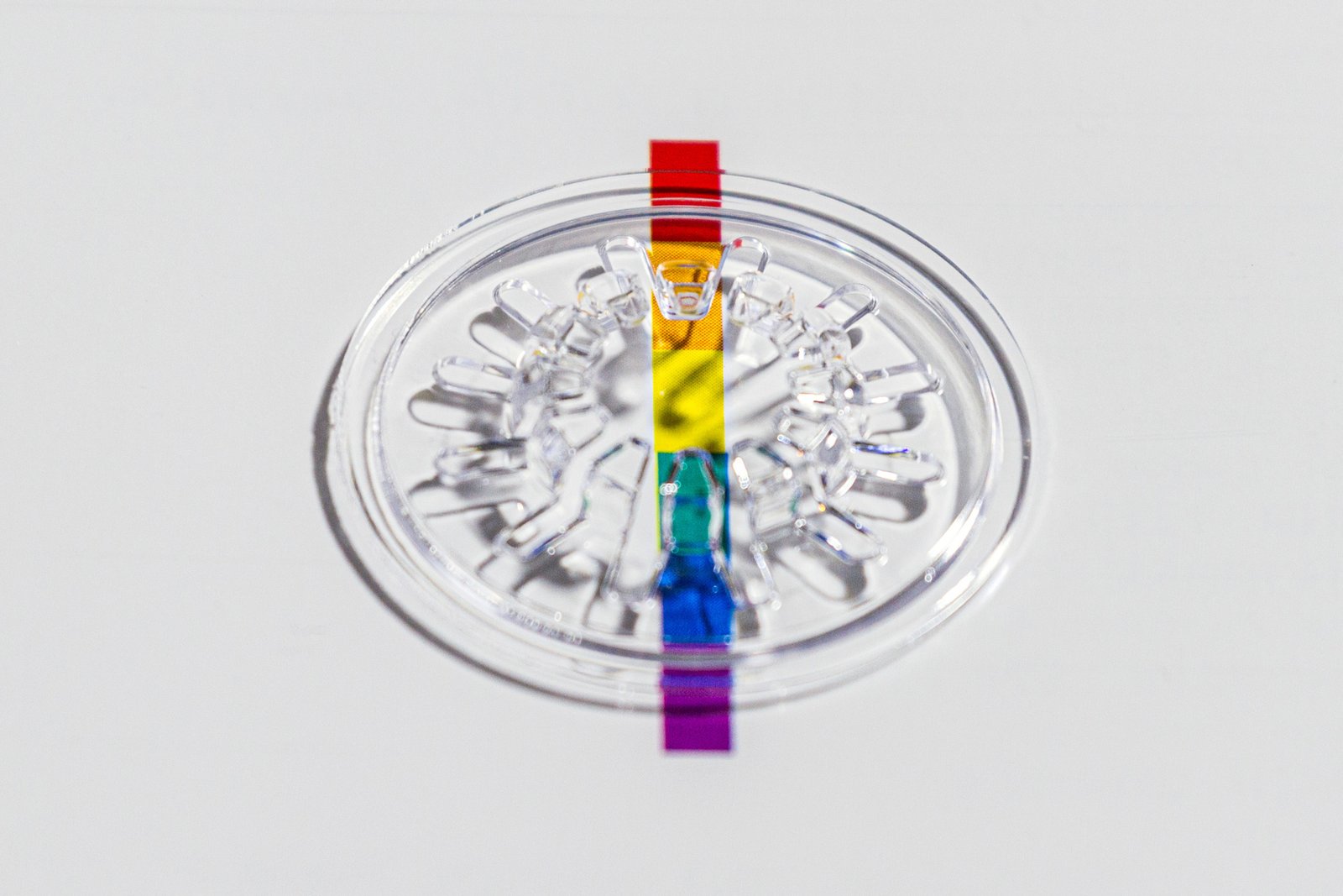 la-union-hipgnosis-vol1-dr-digital-agency-06 la-union-hipgnosis-vol1-dr-digital-agency-06